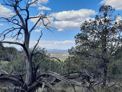 /international/us/w-peaceful-view-trail-lot-814-seligman-az-110120512312/