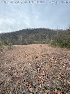 /international/us/120-river-way-road-cedar-grove-wv-110107385467/