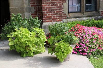 /international/us/316-chateau-rive-peekskill-ny-110099147361/?lang=zh-tw