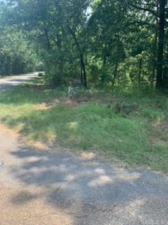 /international/us/6-5-acres-ridgeview-camden-ar-110087213258/