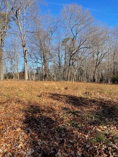 /international/us/lake-view-pt-lot-49-glade-hill-va-110104576701/