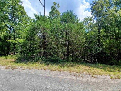 /international/us/901-primrose-lane-horseshoe-bend-ar-110101170682/?lang=zh-tw