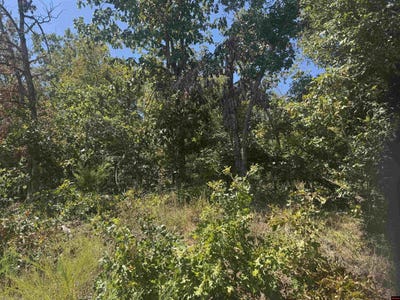/international/us/760-15822-000-mcdonald-meadows-parkway-bull-shoals-ar-110119642610/