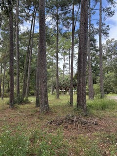 /international/us/8636-wakulla-springs-road-tallahassee-fl-110120129151/