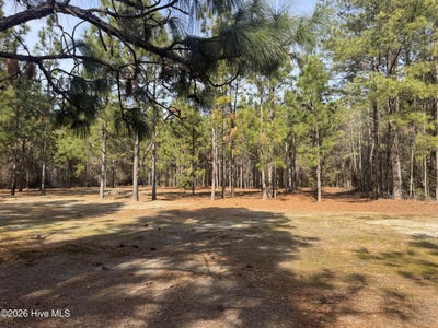 /international/us/154-sunset-park-road-bladenboro-nc-110105866328/