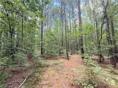 /international/us/000-county-road-1815-joppa-al-110101092138/