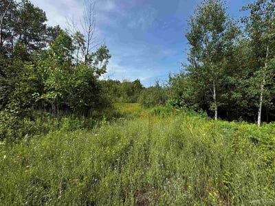/international/us/tbd-bear-town-baraga-mi-110101117214/?lang=zh-tw