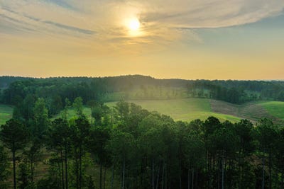 /international/us/tbd-nickville-road-elberton-ga-110100590616/