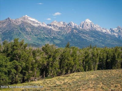 /international/us/300-reed-drive-jackson-wy-110108341821/