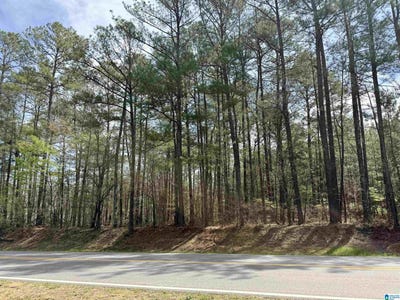 /international/us/11490-highway-55-lot-1aa-westover-al-110106816155/
