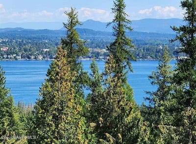 /international/us/mountain-ridge-dr-lot-3-sagle-id-110108631116/