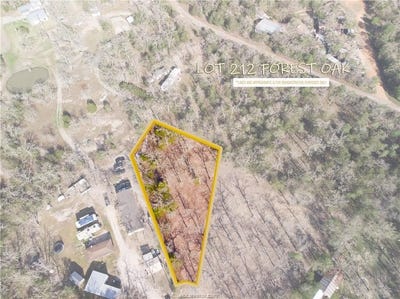 /international/us/lot-212-forest-oak-somerville-tx-110098330209/