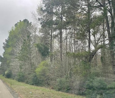 /international/us/tract-1-highway-96-n-jasper-tx-110106252826/