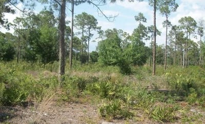 /international/us/1055-union-avenue-clewiston-fl-110120059660/
