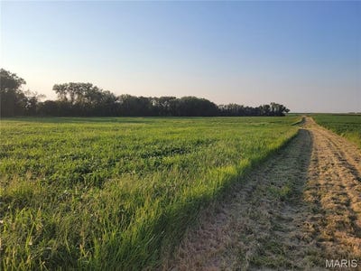 /international/us/0-hwy-dd-46-ac-tract-f-bellflower-mo-110105047619/