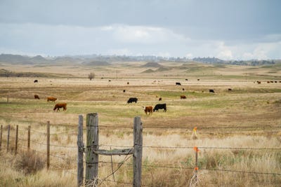 /international/us/9870-tollefson-trail-fort-laramie-wy-110092210720/