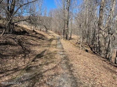 /international/us/l1-13-off-rossman-fly-road-summit-ny-110098295007/