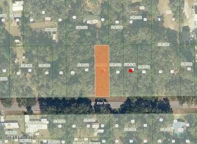 /international/us/1024-elm-street-welaka-fl-110099509780/
