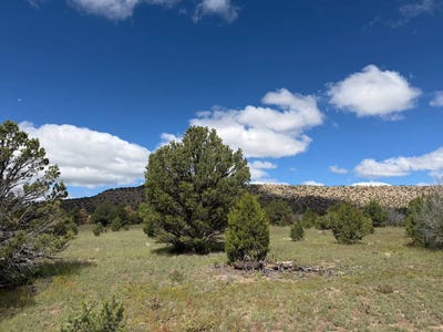 /international/us/1-6-twin-butte-drive-datil-nm-110120421217/