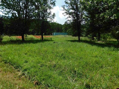 /international/us/343-blevins-street-norfork-ar-110101013514/?lang=zh-tw