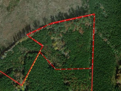 /international/us/10-acres-diguardi-drive-dolphin-va-110105734908/
