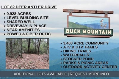 /international/us/deer-antler-drive-lot-82-purlear-nc-110105954286/
