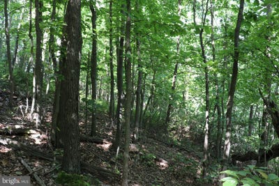 /international/us/lot-320-ridge-run-claysburg-pa-110075122631/?lang=zh-tw