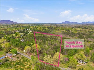 /international/us/1301-spainhour-mill-road-pinnacle-nc-110107309251/