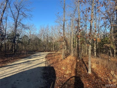 /international/us/42850-maries-road-638-road-dixon-mo-110106339570/