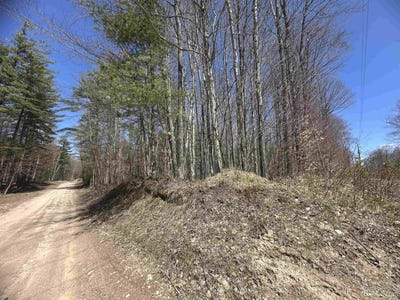/international/us/lots-93-102-hiawatha-shores-manistique-mi-110099245921/?lang=zh-tw