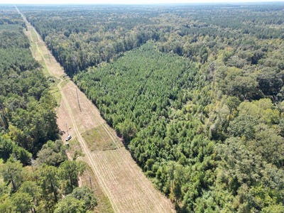 /international/us/2101-hwy-24-gloster-ms-110120915733/