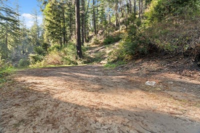 /international/us/160-starview-pl-boulder-creek-ca-110106143508/