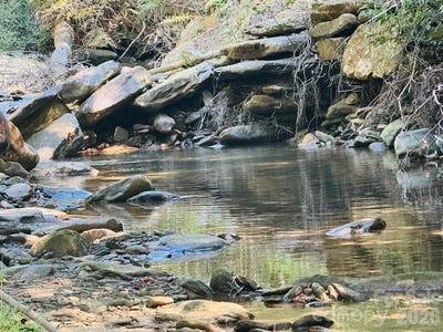 /international/us/jane-lane-hendersonville-nc-110110228967/