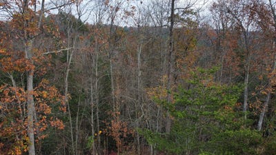 /international/us/lot-67-shawnee-run-rogers-ky-110095945302/?lang=en