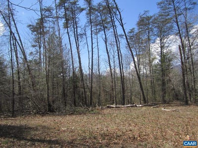 /international/us/5-logan-pl-lot-5-nellysford-va-110120418898/