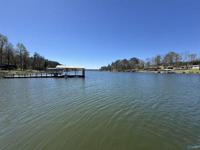 /international/us/122-county-road-341-crane-hill-al-110106813154/