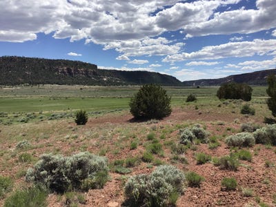 /international/us/timberlake-road-lot-d-ramah-nm-110090944951/