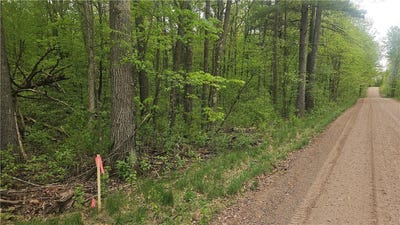 /international/us/lot-2-buckeye-lane-stone-lake-wi-110099593800/