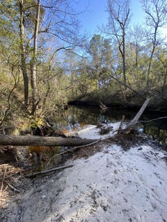 /international/us/fonigan-road-sopchoppy-fl-110105308703/