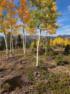 /international/us/tbd-miners-candle-road-idaho-springs-co-110100079088/