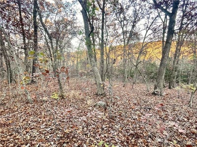 /international/us/lot-164-illinois-lane-rocky-mount-mo-110088500349/?lang=en