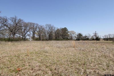 /international/us/22419-county-road-2166-troup-tx-110099233600/?lang=zh-tw