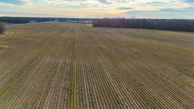 /international/us/t-b-d-highway-17-winnsboro-la-110105735410/