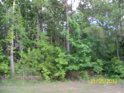 /international/us/old-louvale-road-cusseta-ga-110087555951/