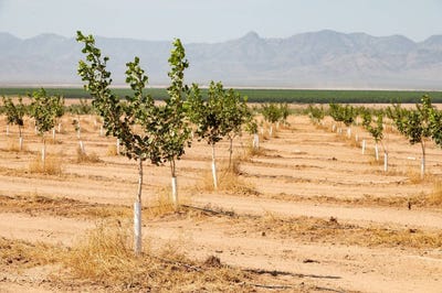 /international/us/00-cavot-road-san-simon-az-110101672760/