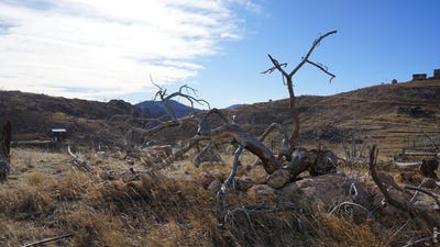 /international/us/654-horse-mountain-dr-livermore-co-110106021922/