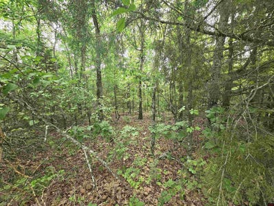 /international/us/009-00081-032-pine-view-drive-salesville-ar-110106280015/