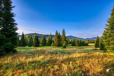 /international/us/196-far-horizon-drive-lake-placid-ny-110101332503/?lang=zh-cn
