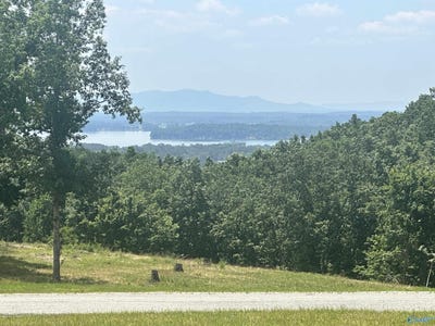 /international/us/county-road-767-lot-228-cedar-bluff-al-110110259241/