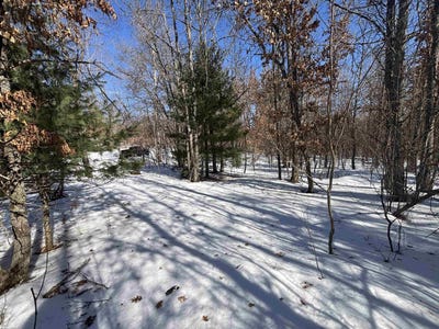 /international/us/pocahontas-trail-lot-6-roscommon-mi-110106153151/
